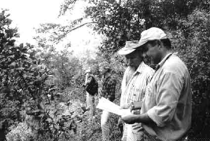 Marco Montecinos (foreground), Francisco's vice-president of exploration, analyst Brent Cook, broker Jeff Howard and director Michael Winn examine ground near the Main zone.