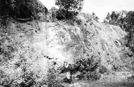 Geologists from Radius Exploration examine a mineralized outcrop at the El Tambor property in Guatemala.