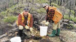 Robert Lucas, Ashton's manager of Quebec projects, and Ghislain Poirier of Soquem take samples on an esker in the Otish Mountains region of Quebec.