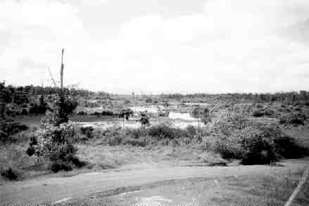 Disputed ground: The Las Cristinas gold property in Venezuela's Bolivar state. Placer Dome halted development at the site in 1999 and sold its interest to Vannessa Ventures last year.