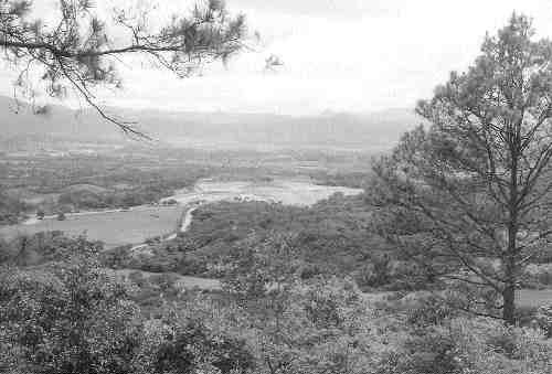 Looking down from the Rosa deposit at the San Martin leach pads during construction in 2000.