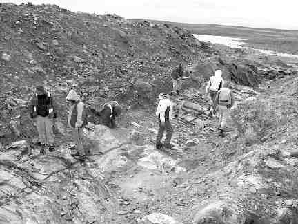 This picture shows the exposures of the shallow high-grade mineralization at the Third Portage open-pit deposit at the Meadowbank gold project in Nunavut. Trenches expose four separate mineralized horizons at the deposit with a best width of 7.8 grams per tonne over 21 metres.