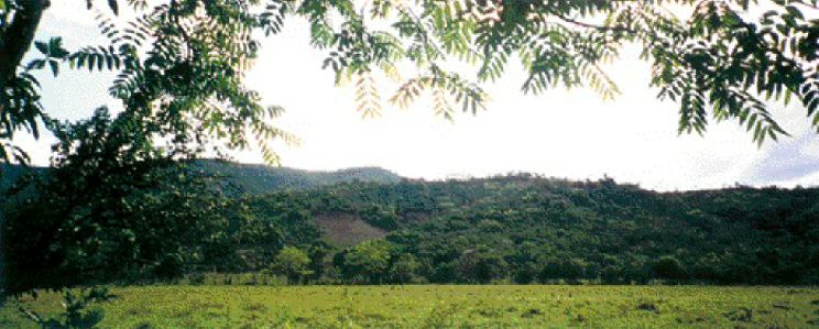 A view of the Globestar's Cerro de Maimn deposit. In the foreground is the proposed site for a recently optioned 2,500-tonne-per-day mill.