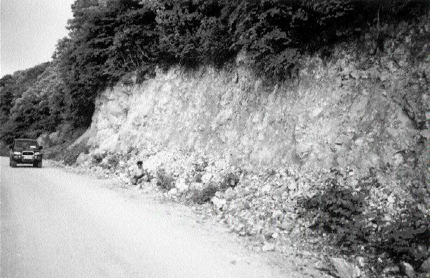 Ender Ozaydin, project geologist for Odyssey Resources, inspects a road exposure at the Altintepe property in Turkey.