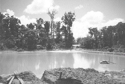 An area stripped by garimpeiros at the Las Cristinas property in Bolivar State, Venezuela. About 10,000 independent miners swarmed the property as gold prices recovered.