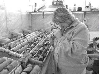 Pelangio Mines President and CEO Ingrid Hibbard examines core at the Detour Lake camp in northeastern Ontario.