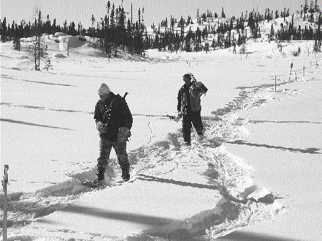 Field personnel personnel prepare a geological survey grid on Ashton Mining of Canada's Foxtrot property in the Otish mountains of north-central Quebec.