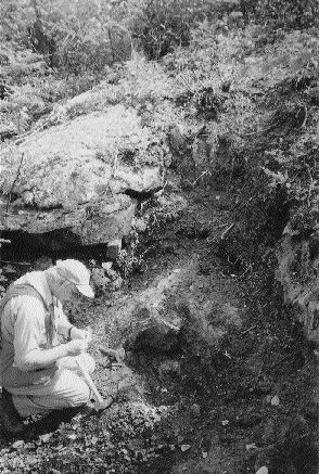 Michael Byron, Aurora Platinum's vice-president of exploration, examines a sulphide showing at the Foy project in Ontario. It's one of several properties that would be acquired by FNX Mining in a proposed takeover.