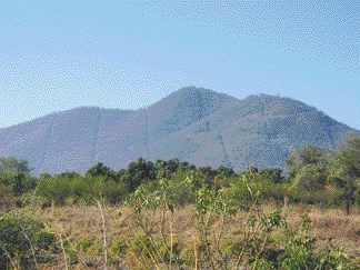 A view of the cut grid over the East Hill and the copper-bearing breccia bodies that outcrop along the ridge of hills at Aur Resources' La Verde project in Mexico.