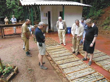 Photo by James WhyteGeological director Jaime Duchinni (middle right) displays core from Jaguar Mining's Santa Isabel development project in Minas Gerais state, Brazil.