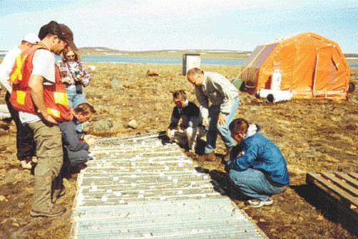 Canadian Royalties project geologist Todd Keast (third from right) examines core from the Mequillon nickel-copper deposit in the Ungava peninsula.