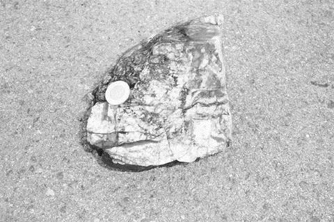 A quartz boulder found along Harry Brook north of Sussex in New Brunswick. The boulder assayed 1,320 grams gold per tonne.