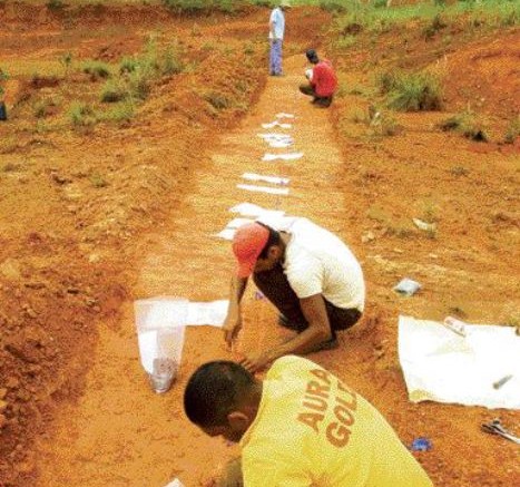 AURA GOLDEmployees of Aura Gold take channel samples from the Cumaru gold project in north-central Brazil.