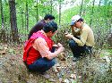 Examining gold and silver-bearing float (left) on the Midu gold project in Yunnan province, China, and an aerial view of the trenches there.