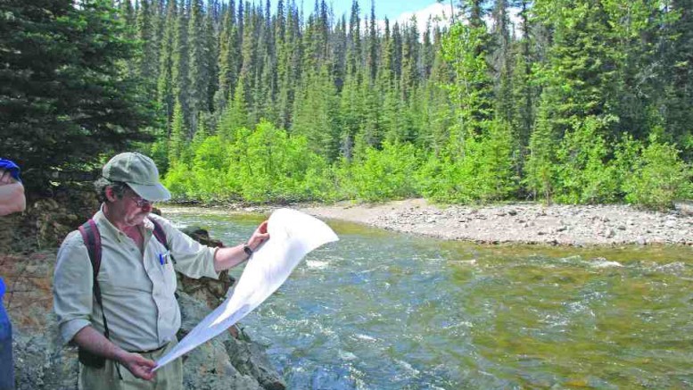 BY STEPHEN STAKIWSerengeti Resources president and CEO David Moore shows visitors river bank rock outcrop during a recent site visit to the Kwanika copper-gold project in north-central British Columbia.