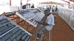 A CIC Energy employee logs core at the company's Mmamabula coal project in southeastern Botswana.