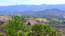 BY JAMES WHYTELarge swaths of land, like this valley in Jalisco state, Mexico, have been claimed by the Mexican government in an effort to close a loophole that could allow oil and gas companies to stake large claim blocks and hold them with only an aim to long-term development. Mexican government officials tried assuage the concerns of Canadian miners and explorers at a recent meeting in Vancouver.