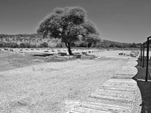 Some of the more than 90 km of drill core stored at Platinum Group Metals' exploration office on its Western Bushveld Joint Venture project in South Africa.