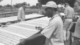 Inspecting core samples at one of Moto Goldmines' projects in the Kilo-Moto gold belt, in the northeast of the Democratic Republic of the Congo.