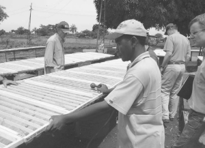 Inspecting core samples at one of Moto Goldmines' projects in the Kilo-Moto gold belt, in the northeast of the Democratic Republic of the Congo.