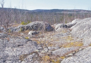 The Garrcon zone at ValGold Resources' 100%-owned Garrison gold property in northeastern Ontario. The project contains an indicated resource of 186,725 tonnes grading 8.06 grams gold per tonne.