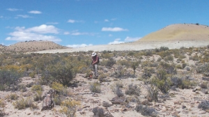 A geologist takes samples at Wealth Minerals' Bororo Nuevo uranium project, in Argentina's San Jorge basin.