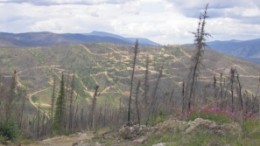 Northern Freegold Resources' Freedgold Mountain project in the Yukon. Hole 68 at the project cut 37.8 metres grading 10.41 grams gold per tonne and 0.29% copper from 42 metres down-hole.