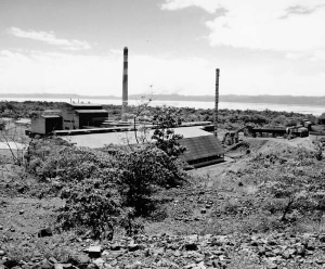 Inco's spectacular failure: the Exmibal 11,000-tonne-nickel-per-year matte smelting plant on the northwestern shore of Lake Izabal, as it appeared in 2003. Built at a cost of US$220 million, the oil-powered plant was shuttered in 1980 after only a few years of operation due to high oil prices and low nickel prices.