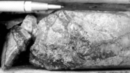 Visible molybdenum in core from Bard Ventures' Lone Pine property, in British Columbia.