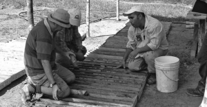 Examining core samples at SearchGold Resources' 36%-owned Bakoudou-Magnima gold project in Gabon, a joint venture with Moroccan company Managem. The partners have received a mining permit for the project, which holds 155,000 oz. in proven and probable reserves.