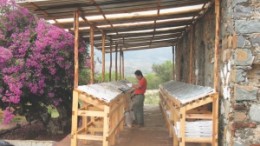 Inspecting core samples at Fortuna Silver Mines' San Jose silver-gold project, in Oaxaca, Mexico. A 33,000-metre infill drill program at the project began in June.