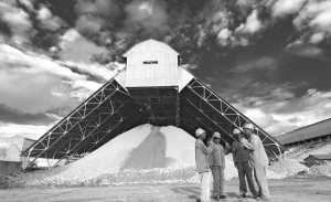 An oxide ore stockpile at Katanga Mining's Kamoto copper and cobalt project in the Democratic Republic of the Congo's Katanga province. Due to falling copper prices, the company has stopped mining producing cobalt at its nearby Tilwezembe open-pit mine and Kolwezi concentrator, but will meet market demand for cobalt concentrate from stockpiles.