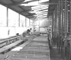 Sifting through core samples at Luna Gold's Cachoeira gold project in northeastern Brazil.