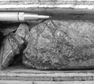 Visible molybdenum in a core sample from Bard Ventures' Lone Pine project, 15 km northwest of Houston, B. C.