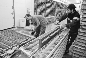 Stacking core samples at Osisko Mining's Canadian Malartic gold project, near Val d'Or, Que.