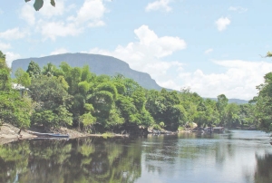 The Kurupung River with the Roraima escarpment in the background. U3O8 Corp.'s Aricheng North and Aricheng South uranium projects are both located in the Roraima basin of Guyana.