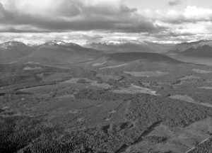 An aerial view of Nanika Resources' Lucky Ship molybdenum property, 85 km southwest of Houston, B. C.