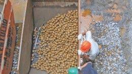 Workers at Yamana Gold's Chapada copper-gold operation in Goias state, Brazil. Yamana has aimed to produce up to 155,000 oz. gold and 150 million lbs. copper at Chapada this year at cash costs of US$275-305 per oz. gold and US90¢-$1 per lb. copper.