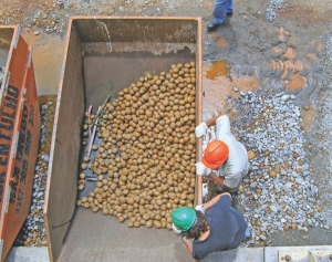 Workers at Yamana Gold's Chapada copper-gold operation in Goias state, Brazil. Yamana has aimed to produce up to 155,000 oz. gold and 150 million lbs. copper at Chapada this year at cash costs of US$275-305 per oz. gold and US90¢-$1 per lb. copper.