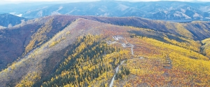 The Golden Saddle zone at Underworld Resources' White Gold property in the Yukon.