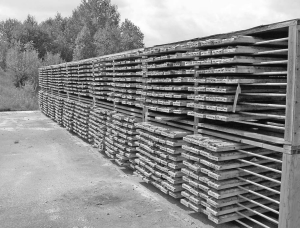 Stacks of core samples at Queenston Mining's Kirkland Lake gold project in northeastern Ontario. New resource estimates for the company's McBean and Anoki gold deposits in the Kirkland Lake camp, stand at 640,000 measured and indicated oz. and 577,000 inferred oz.