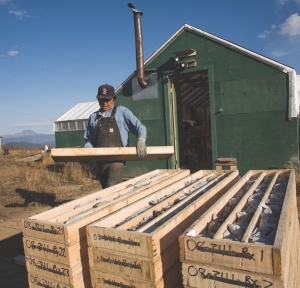 Stacking core samples at Imperial Metals' Red Chris poryphry copper-gold project in northwestern B.C.