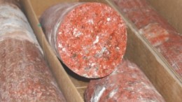 Core samples with abundant potash from Potash One's Legacy potash project in Saskatchewan.