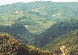 A view of Carpathian Gold's Rovina copper-gold porphyry in Romania, taken from near the Colnic gold-copper porphyry in late 2006.