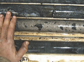 Core samples from Mustang Minerals' Mayville copper-nickel project.