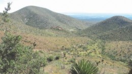 Quaterra Resources' Sierra Sabino prospect in Mexico. The company believes the prospect has Penasquito-type potential.