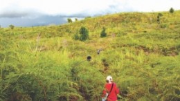 The lush hilltop at Mindoro Resources' Agata nickel laterite project in the Phillipines' southern Mindanao region.