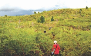 The lush hilltop at Mindoro Resources' Agata nickel laterite project in the Phillipines' southern Mindanao region.