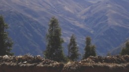 The area around the mine camp at Panoro Mineral's Antilla project in Peru.