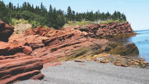 Honeycomb point at Stonehammer Geopark in Saint John, New Brunswick.